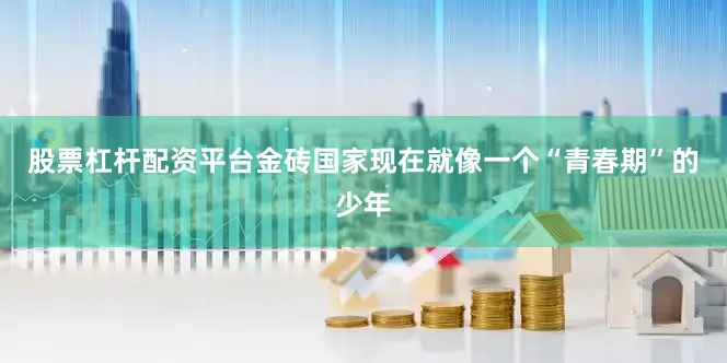 股票杠杆配资平台金砖国家现在就像一个“青春期”的少年