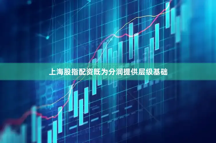 上海股指配资既为分润提供层级基础