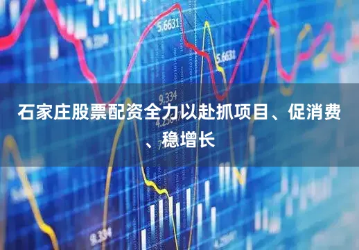 石家庄股票配资全力以赴抓项目、促消费、稳增长