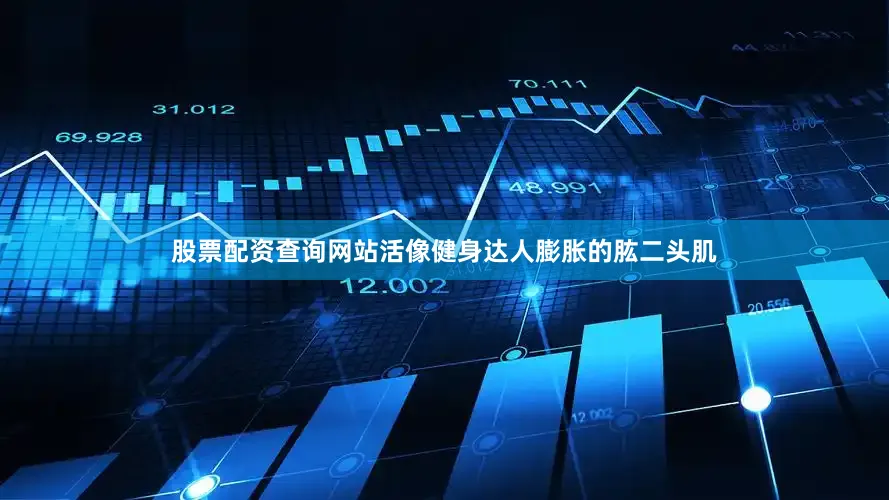 股票配资查询网站活像健身达人膨胀的肱二头肌