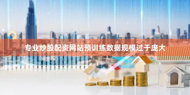 专业炒股配资网站预训练数据规模过于庞大