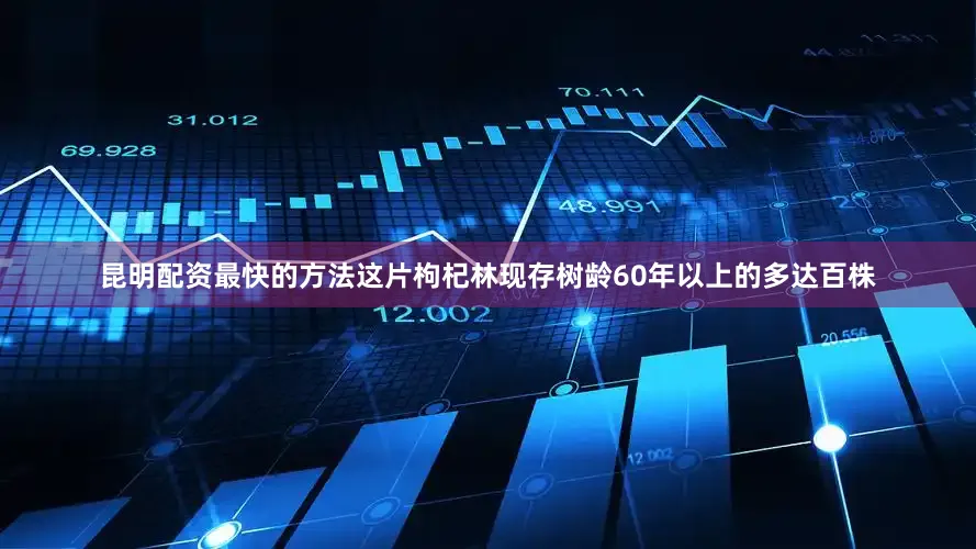 昆明配资最快的方法这片枸杞林现存树龄60年以上的多达百株