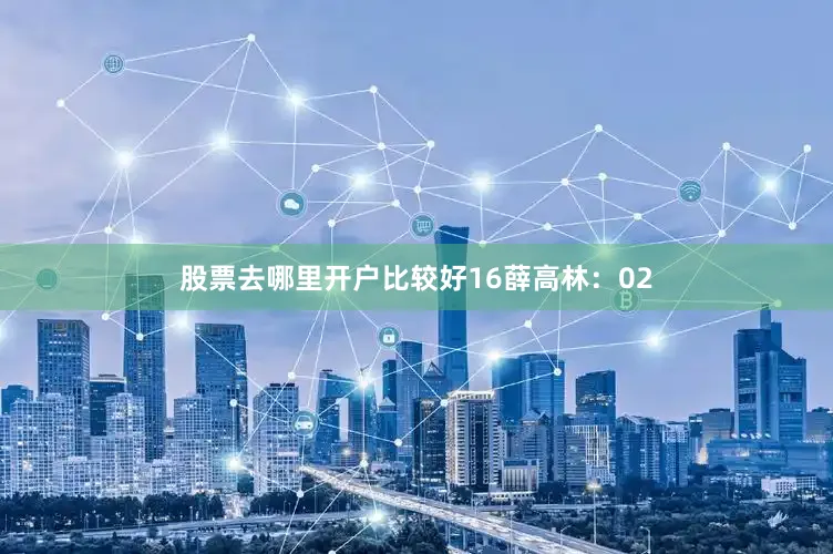 股票去哪里开户比较好16　　薛高林：02